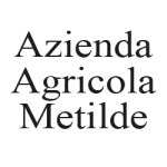 File-per-loghi-per-sito